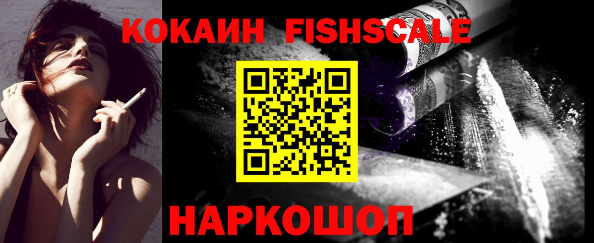 COCAIN Fish Scale  Вход с VPN  COCAIN  Ялуторовск 