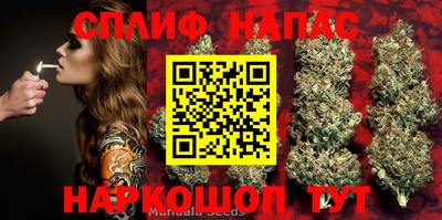 наркотики Обь