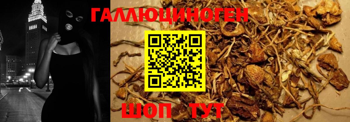 Галлюциногенные грибы MAGIC MUSHROOMS  Вход с VPN  Ялуторовск 